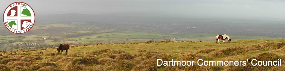 Image 02