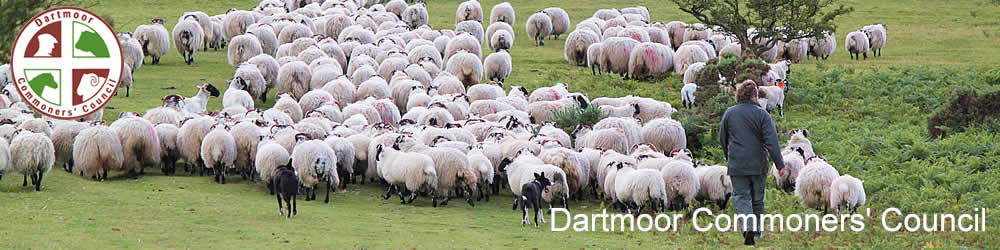 Greenwell, Dartmoor Commoners' Council and logo