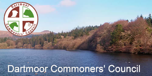 Burrator, Dartmoor