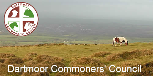Coxtor, Dartmoor