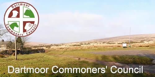 Lane End, Dartmoor